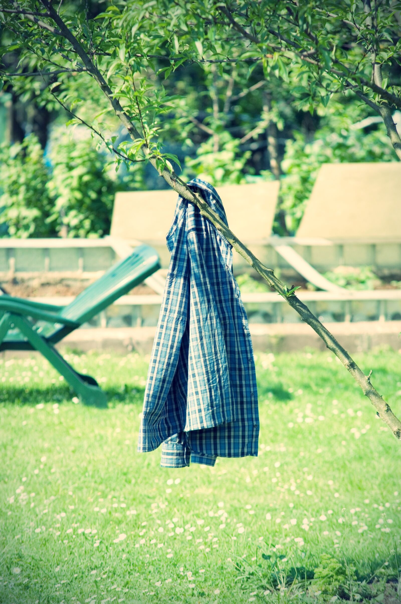 Nikon D2X sample photo. Garden, shirt, liège photography