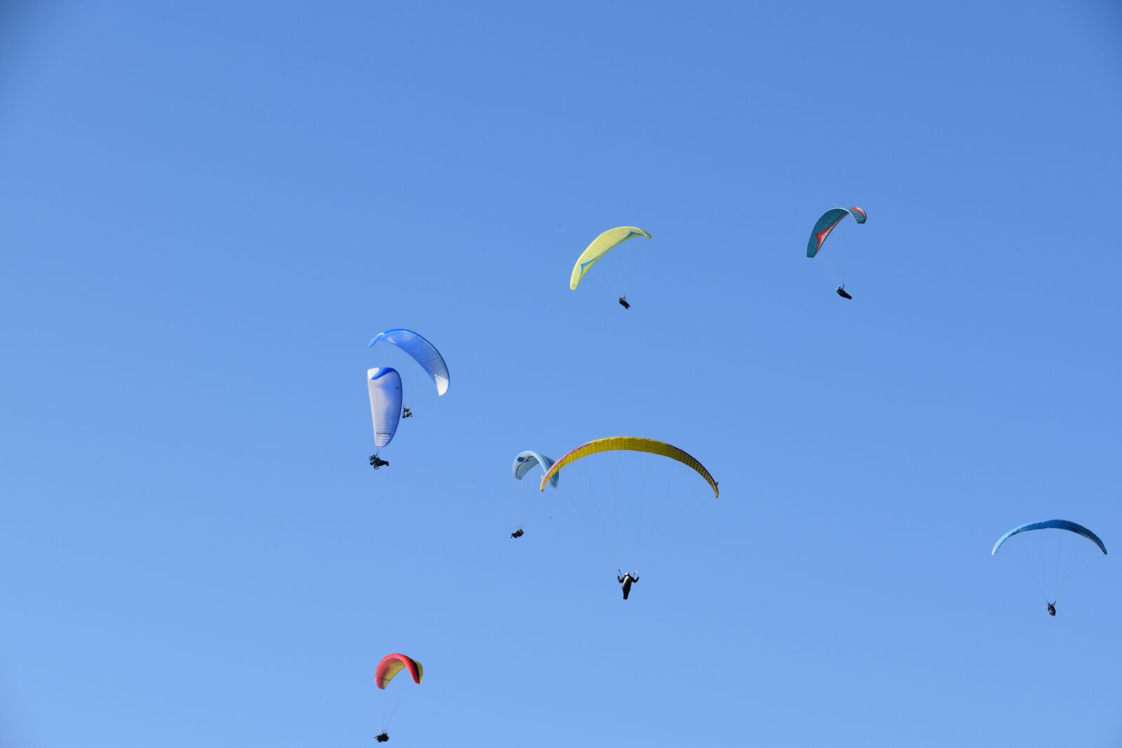 Nikon D5600 sample photo. Paragliders, sails, wings photography