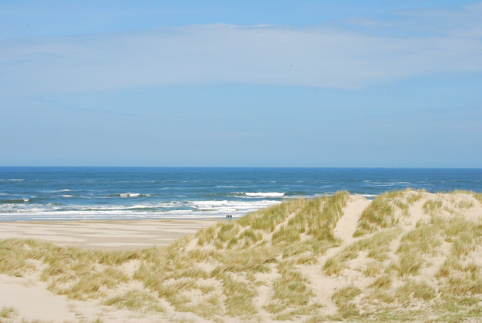 Nikon D60 sample photo. Dunes, coast, beach photography