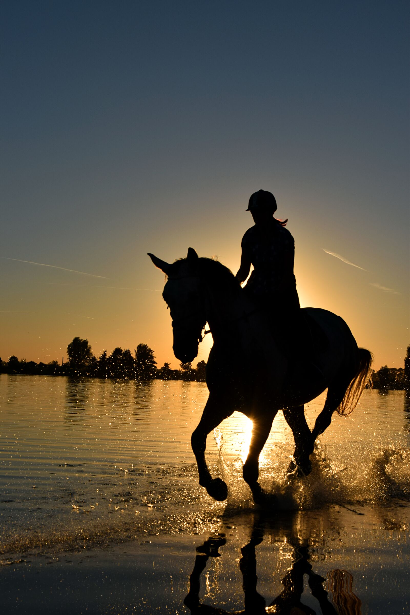 Nikon D3300 sample photo. Horse, sea, gallop photography
