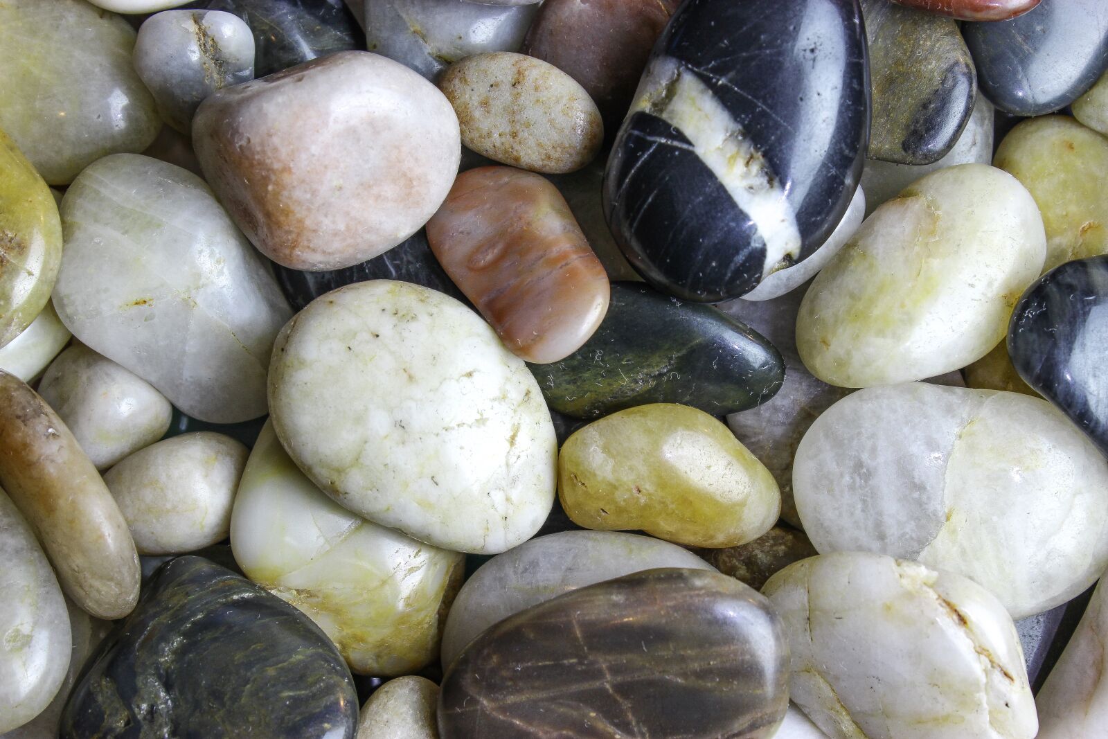 Canon EOS 600D (Rebel EOS T3i / EOS Kiss X5) sample photo. Closeup, small rocks, nature photography