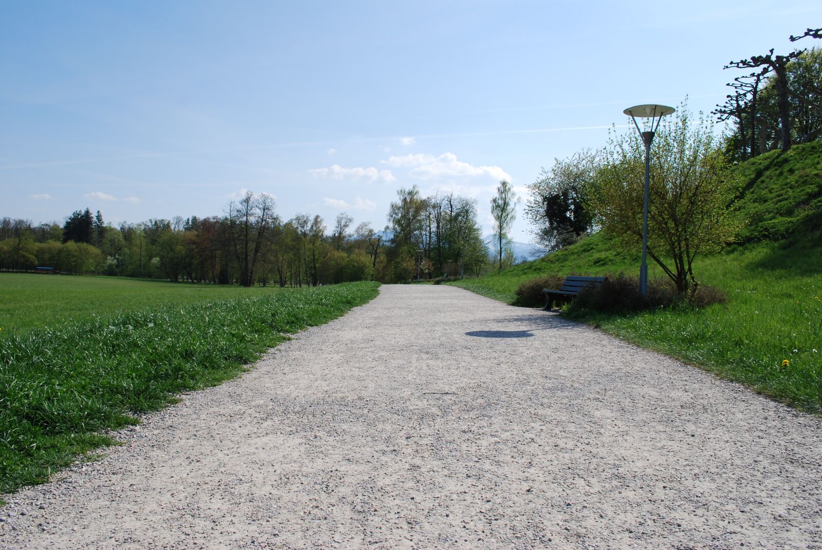 Nikon D60 sample photo. Road, grass, nature photography