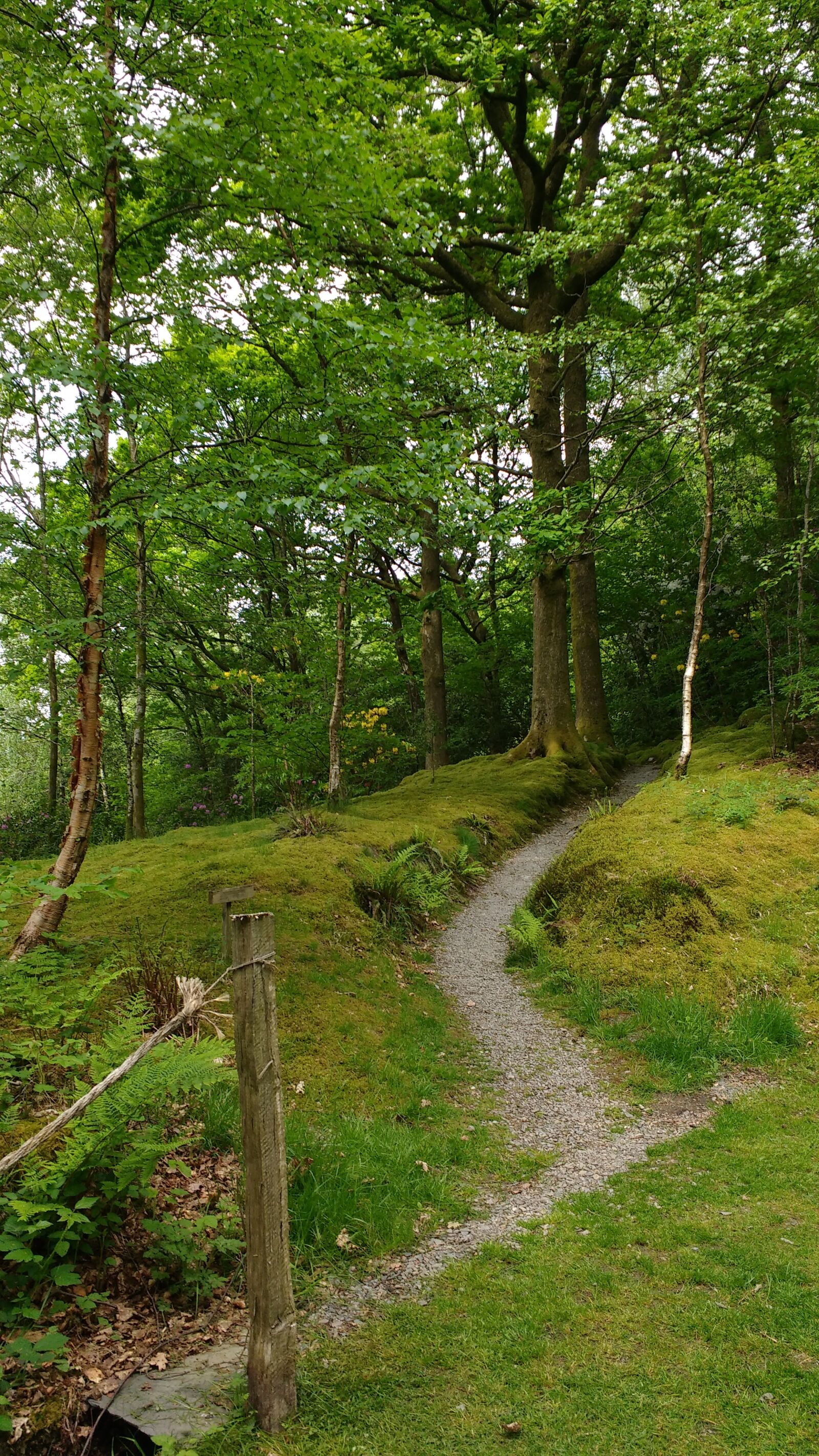 Motorola MotoG3 sample photo. Path, country, walk photography