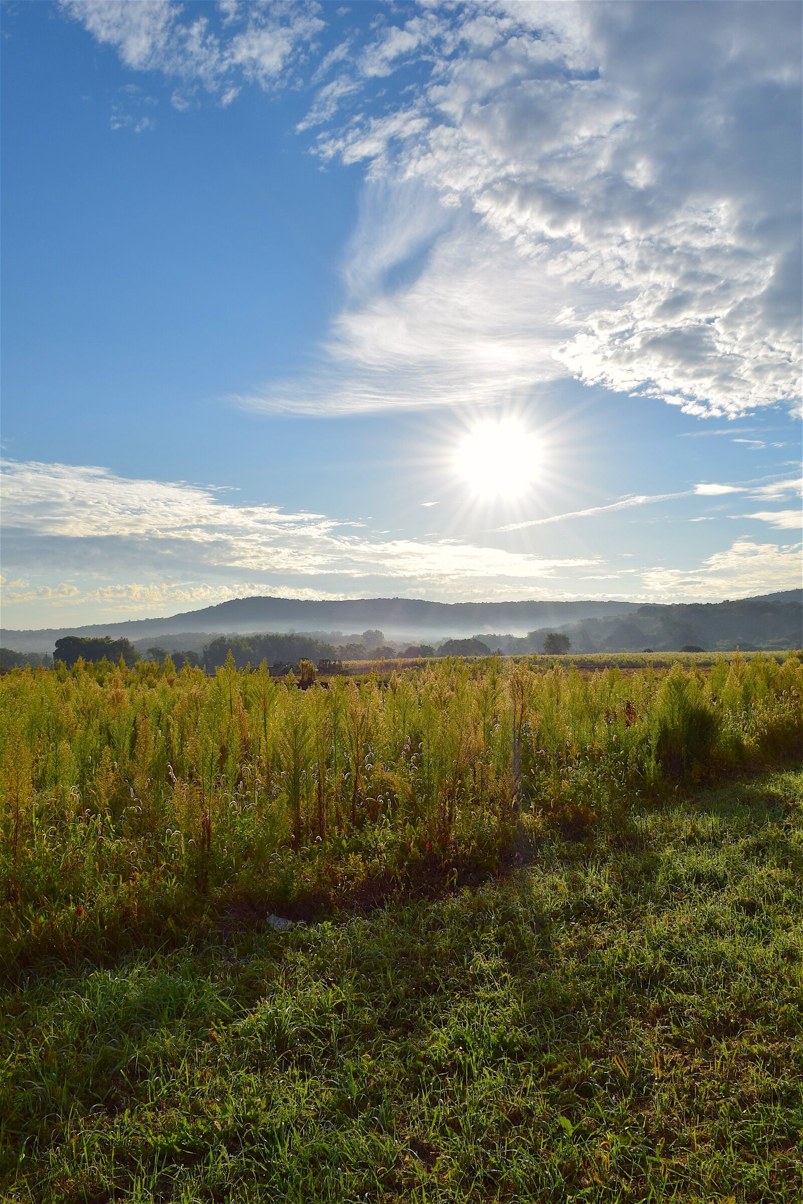 Nikon D3300 sample photo. Sunrise, field, sky photography