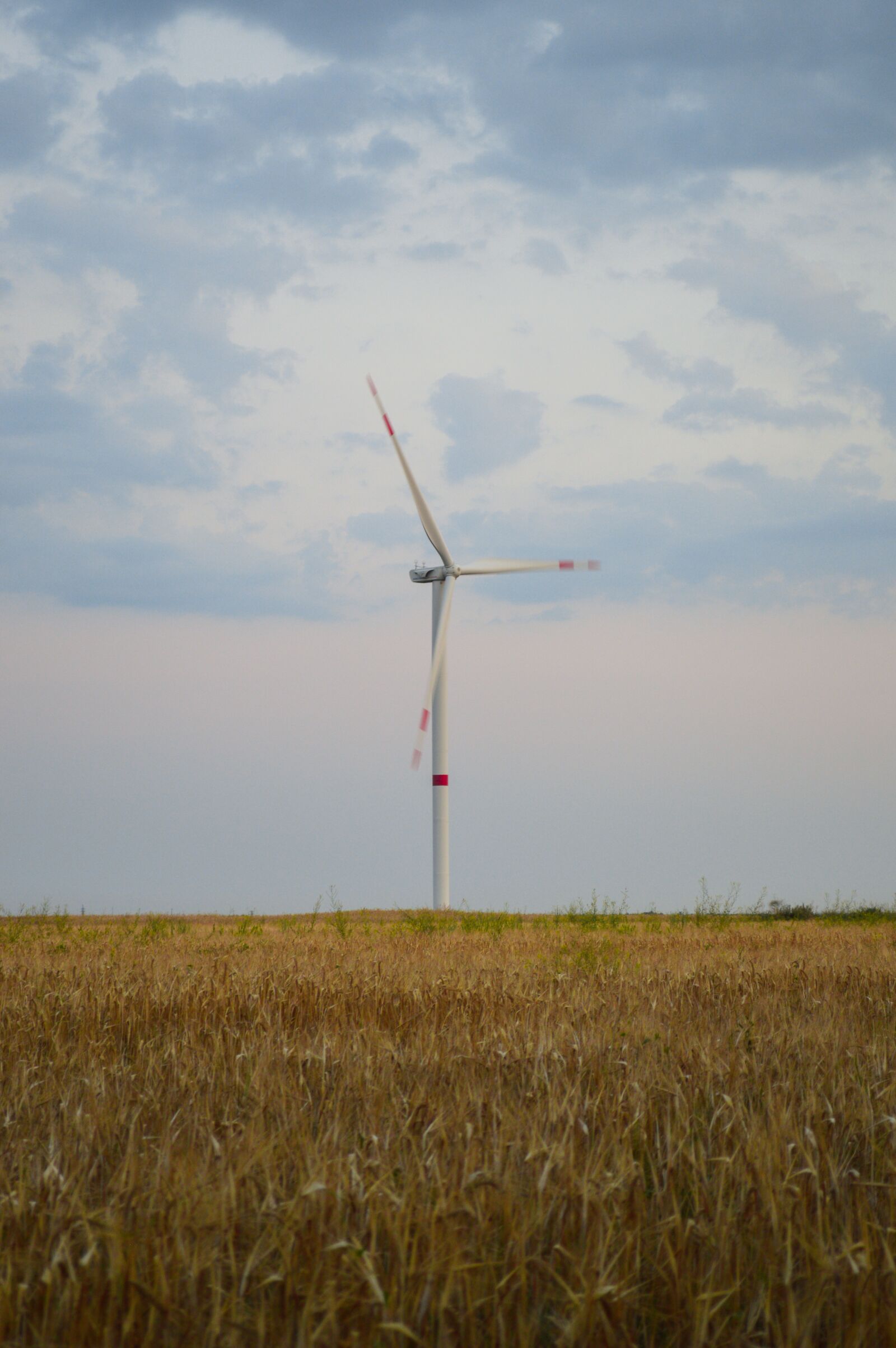 Nikon D3200 sample photo. Wind turbines, field of photography