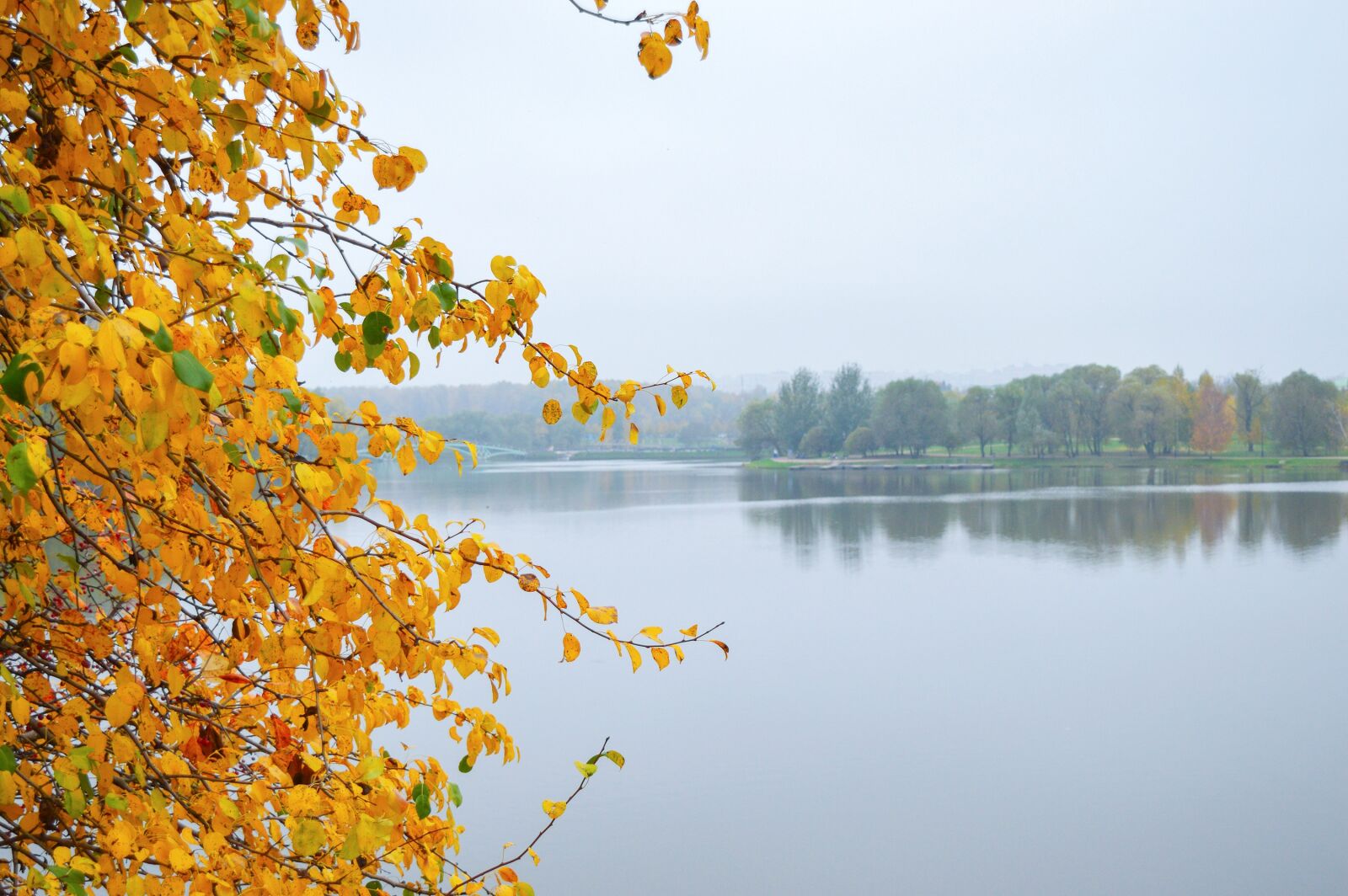 Nikon D3200 sample photo. Golden autumn, autumn park photography