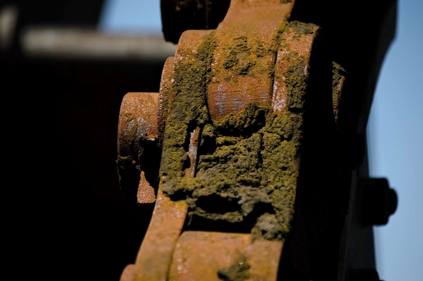 Nikon D3200 sample photo. Chain, moss, old photography