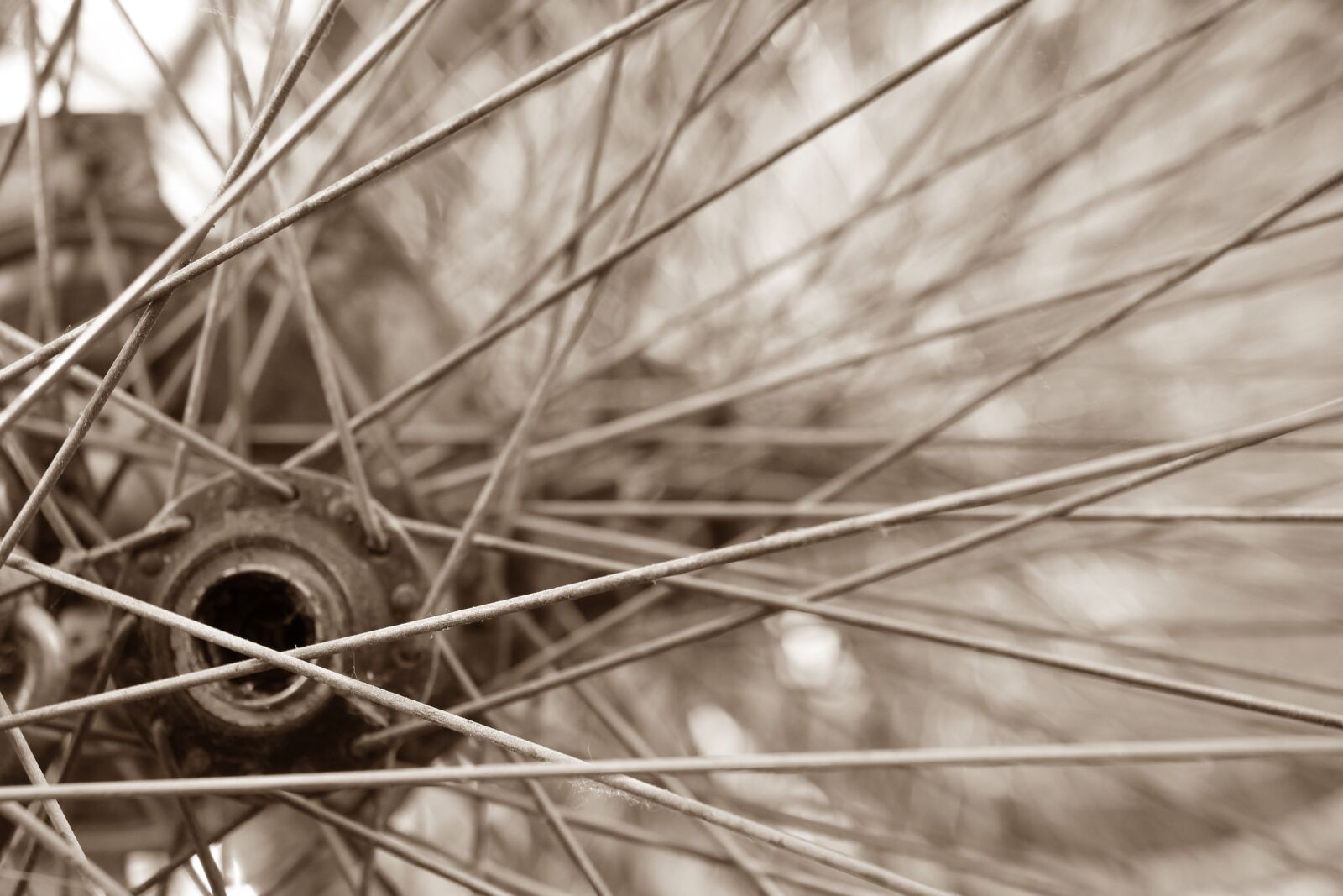 Canon EOS 1200D (EOS Rebel T5 / EOS Kiss X70 / EOS Hi) sample photo. Bike, wheels, wheel photography