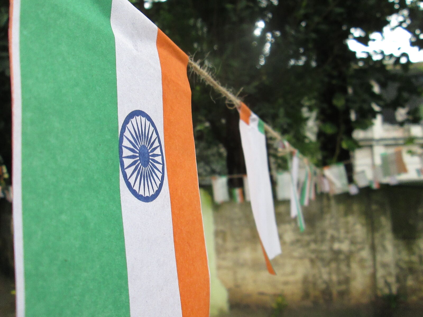 Canon PowerShot A810 sample photo. Flag, independence, independence, day photography