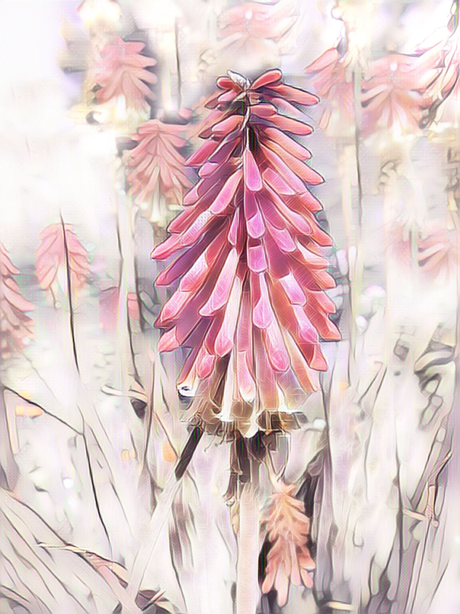 Canon PowerShot G15 sample photo. Fackellile, rocket flower, digital photography