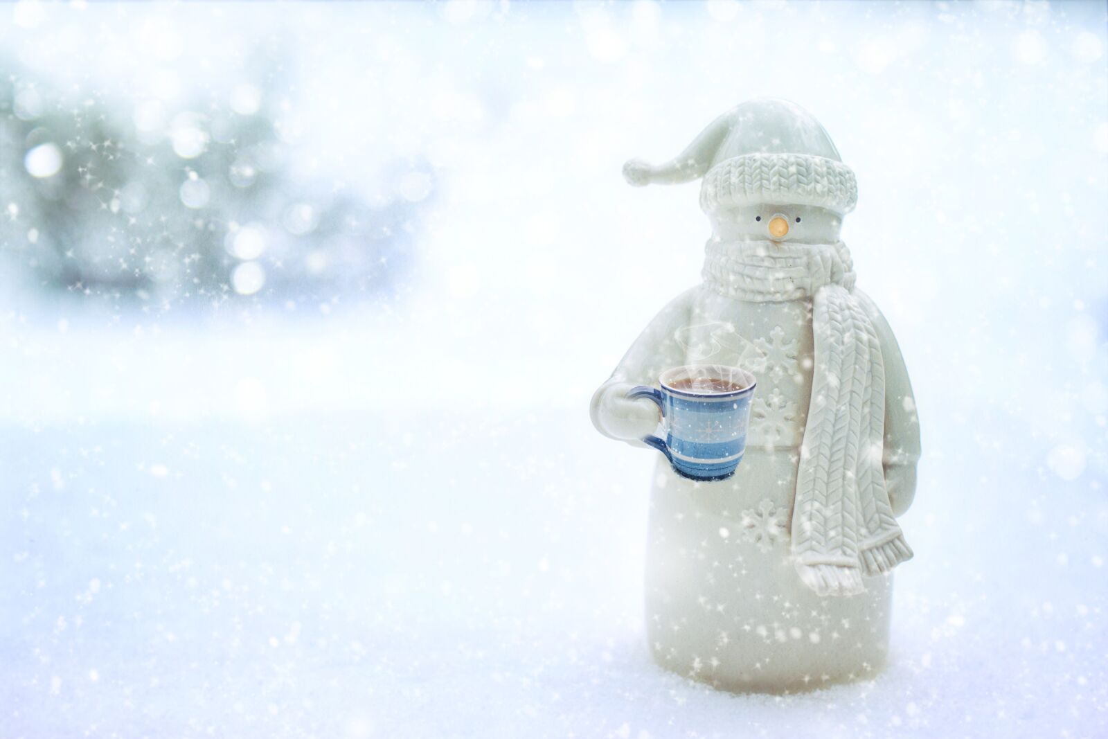 Canon EF 50mm F1.4 USM sample photo. Snowman, winter, snow photography
