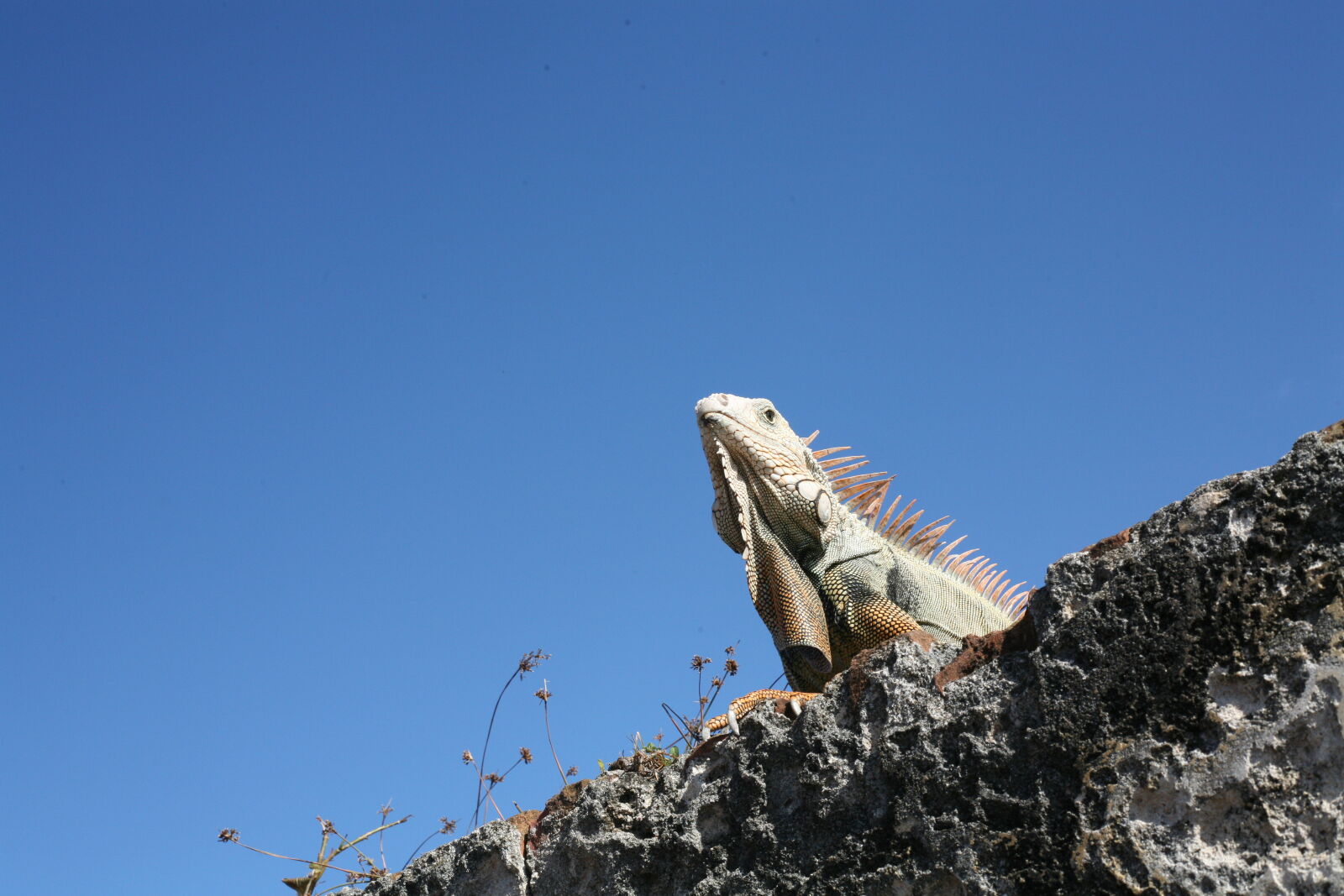 Canon EOS 5D sample photo
