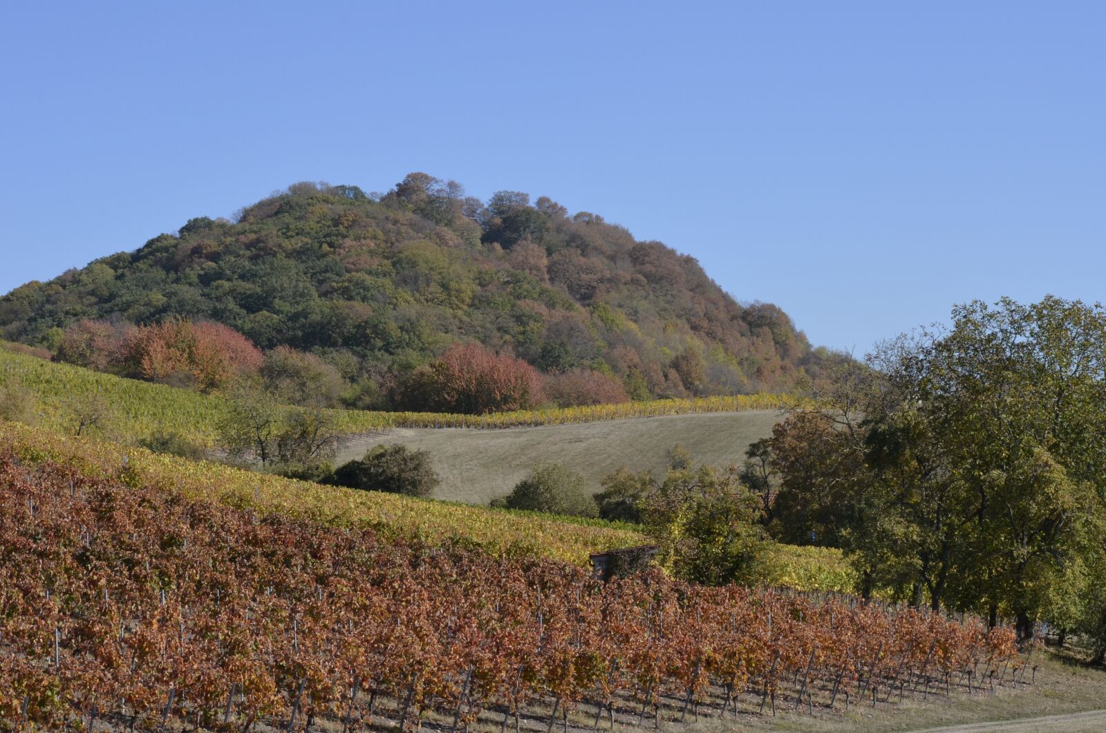 Nikon D5100 sample photo. Hill, forest, landscape photography