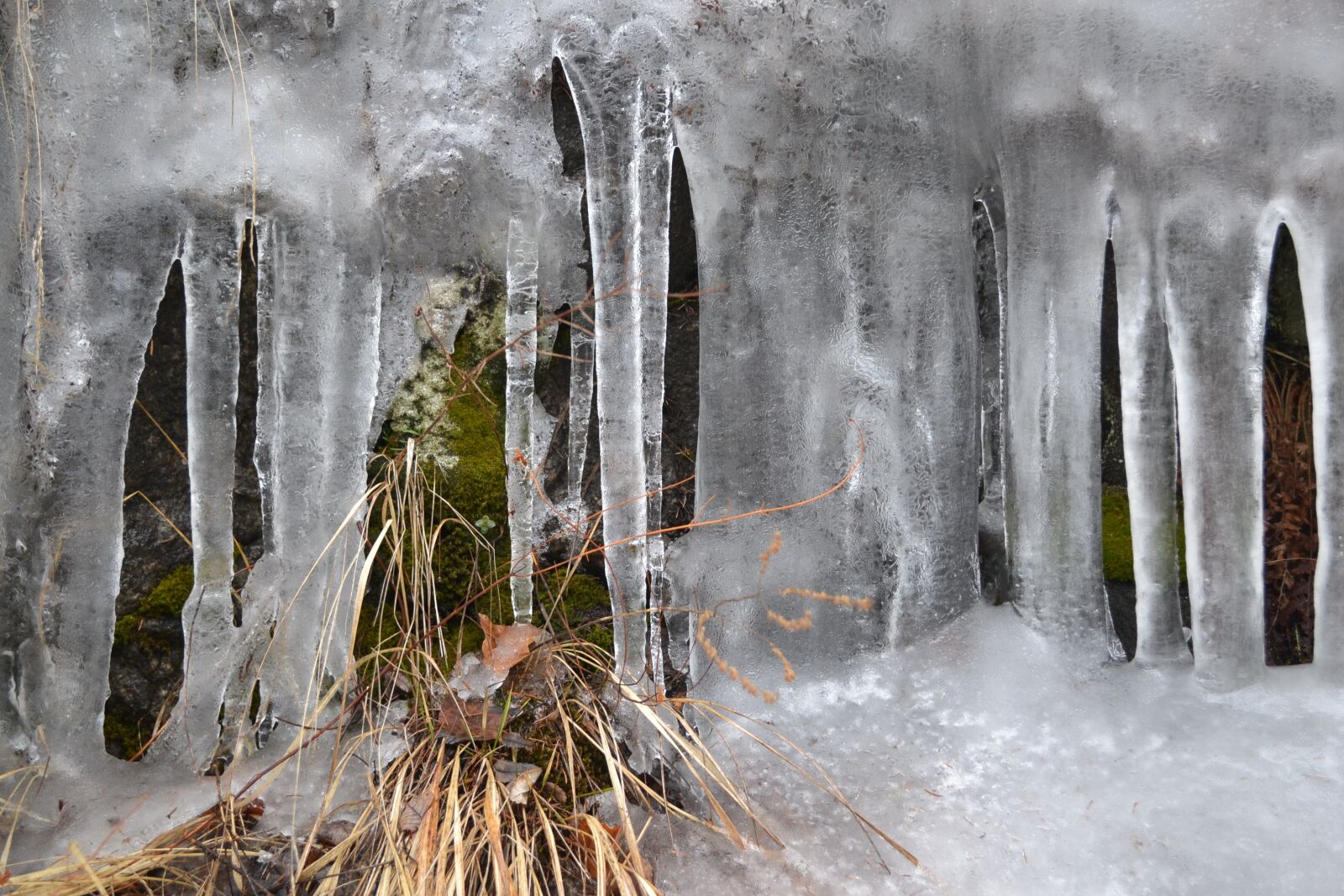 Nikon D3100 sample photo. Ice, cold, snow photography