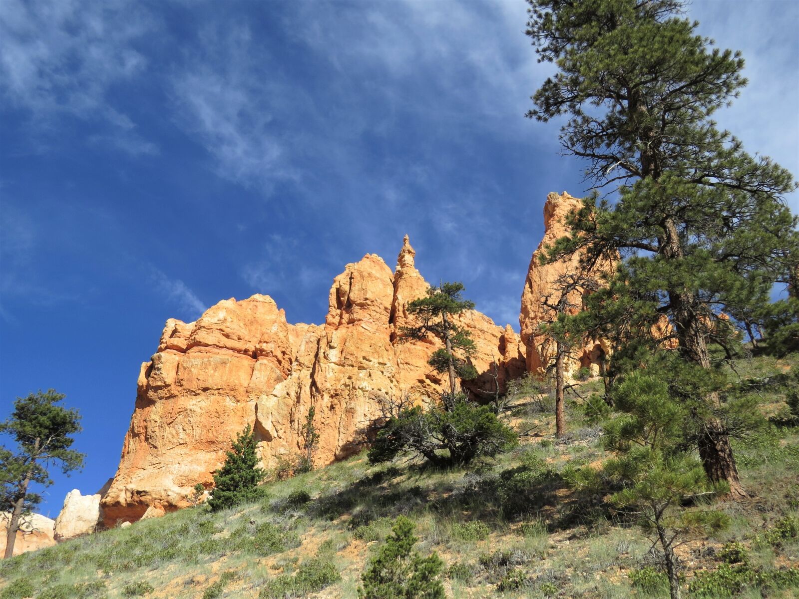 Canon PowerShot SX50 HS sample photo. Bryce canyon, red sandstone photography