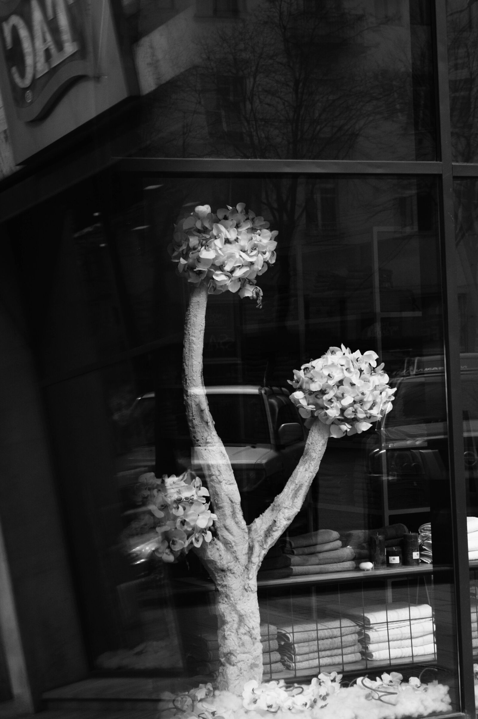 Nikon D3200 sample photo. Tac, shop, decoration photography