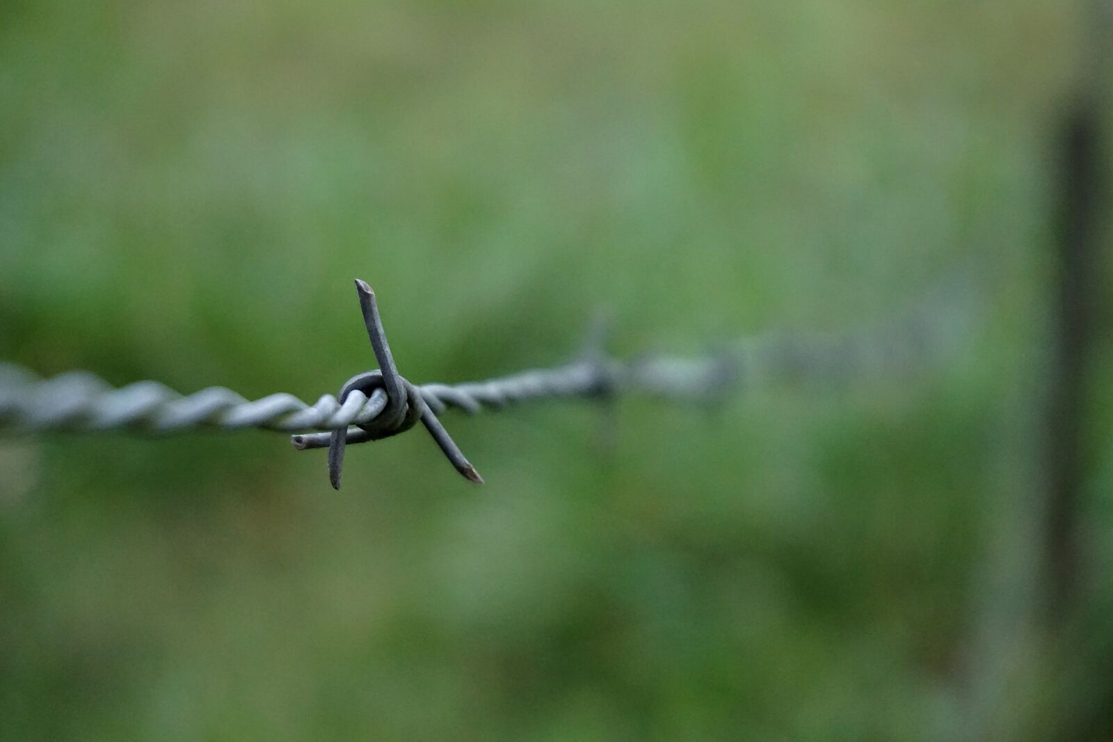 Sony a6000 sample photo. Barbwire, fence, wire photography