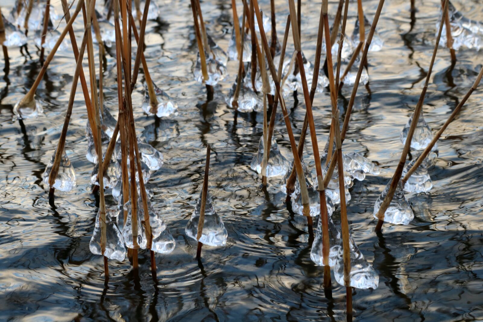 Canon EOS 760D (EOS Rebel T6s / EOS 8000D) sample photo. Ice, water, lake photography