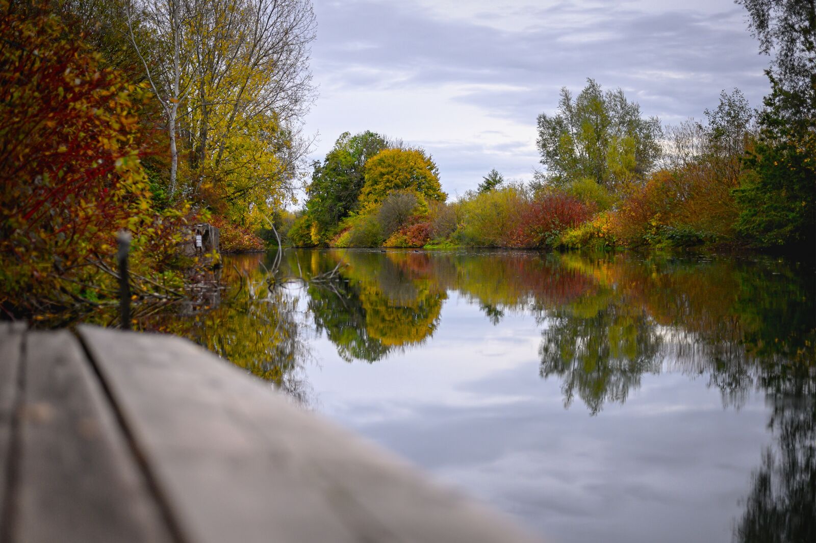 Nikon Z6 sample photo. Lake, autumn, web photography