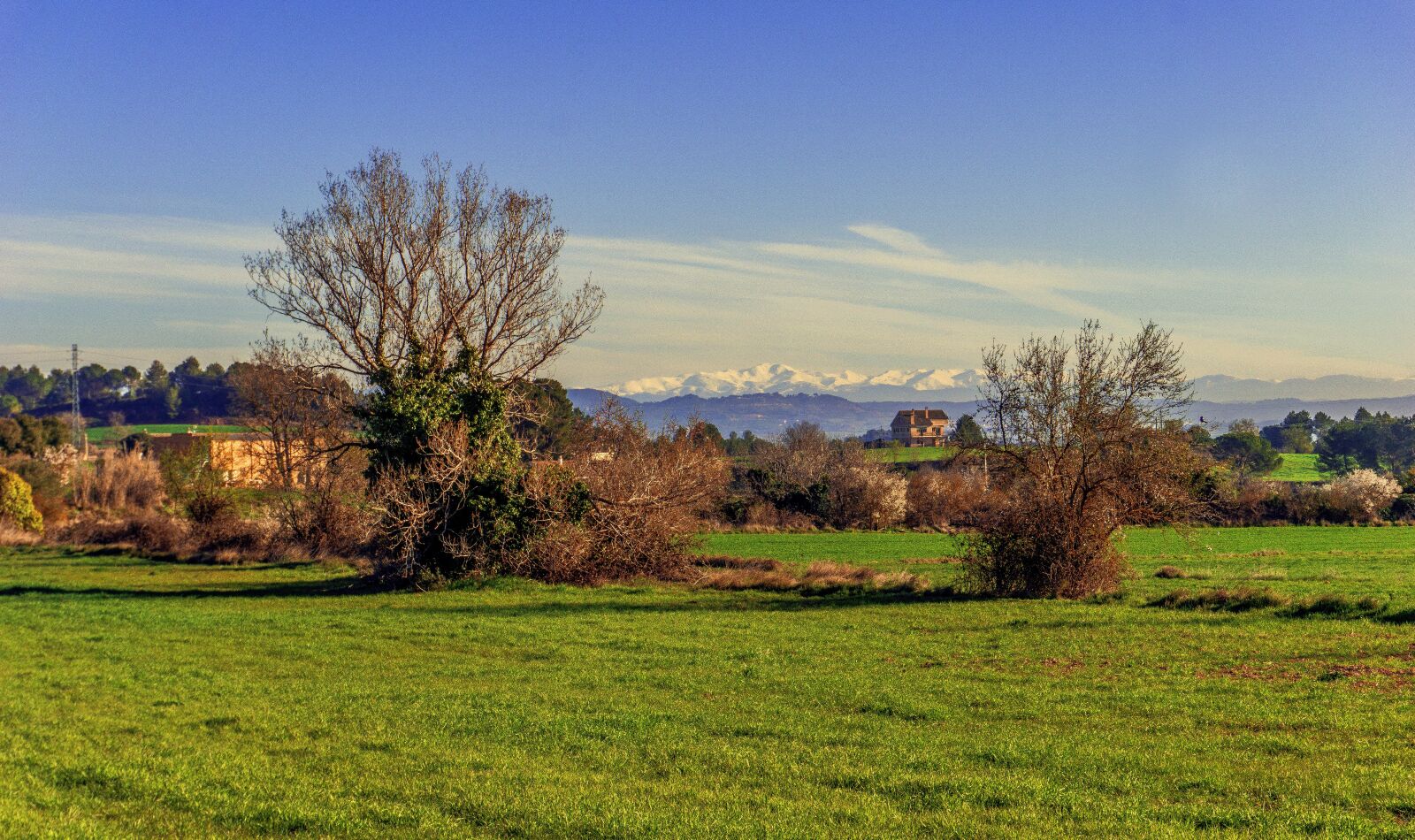 Sony E 16-50mm F3.5-5.6 PZ OSS sample photo. Nature, lawn, tree photography
