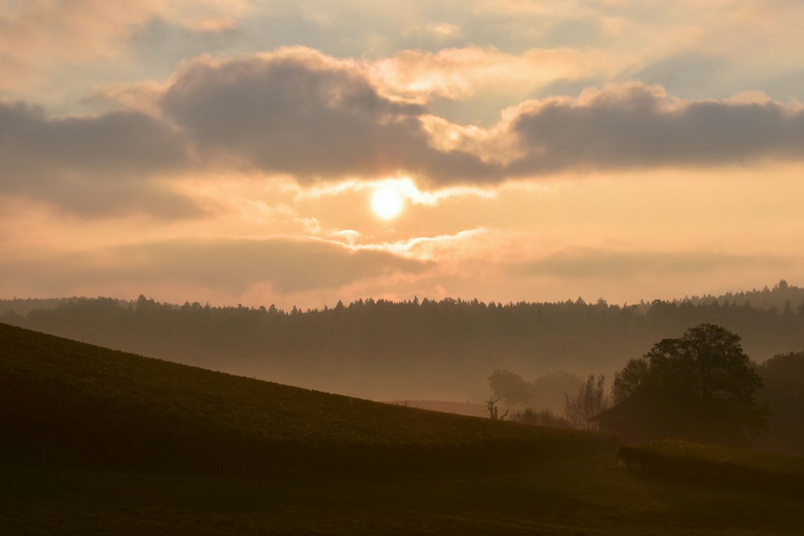 Nikon D5500 sample photo. Morgenstimmung, sunrise, landscape photography