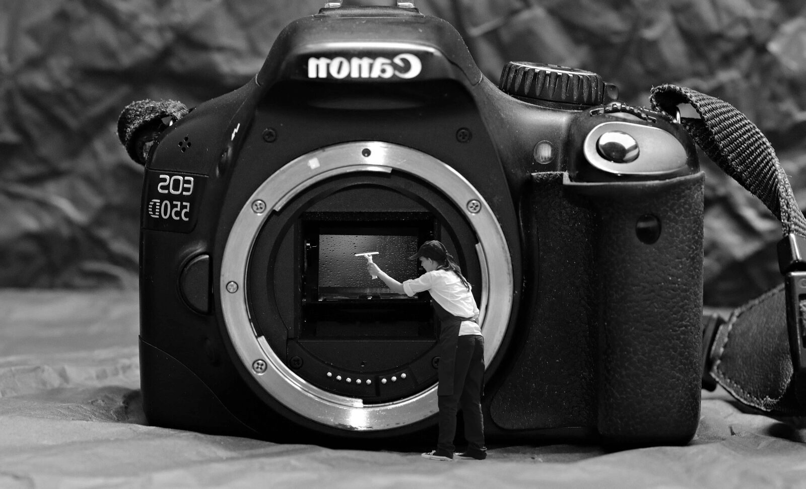 Canon EOS 80D sample photo. Zoom, lens, analogue, aperture photography