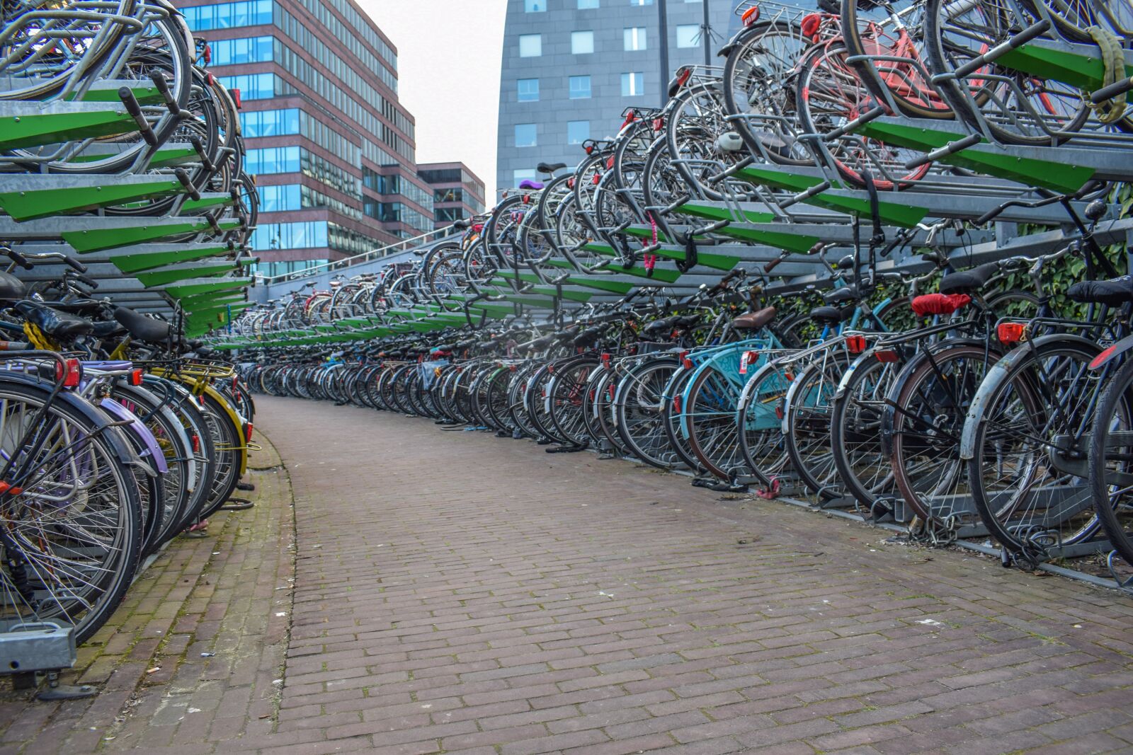 Nikon D5300 sample photo. Bicycle, cycling, transport photography