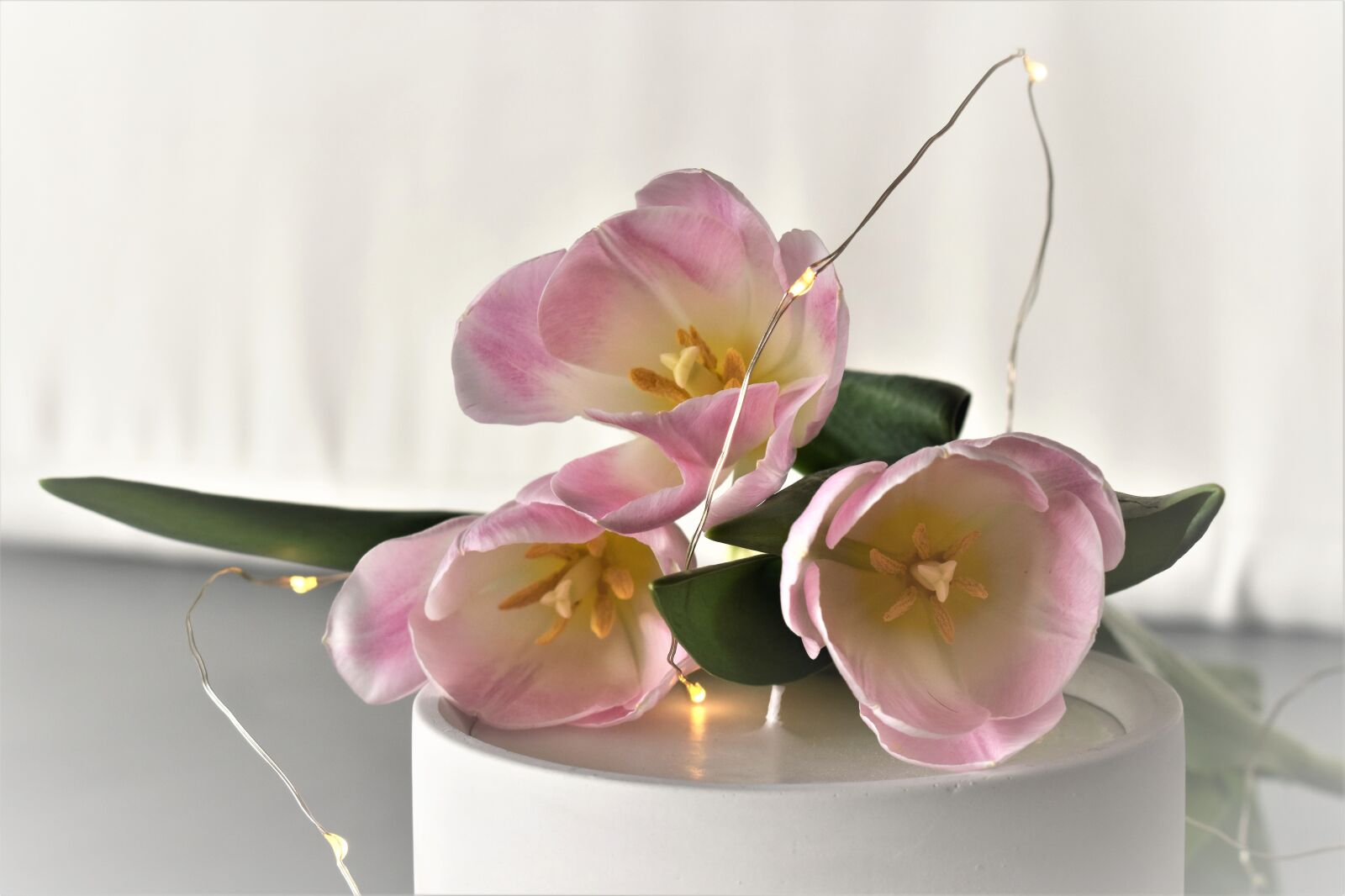 Nikon D5500 sample photo. Decoration, deco, table decorations photography