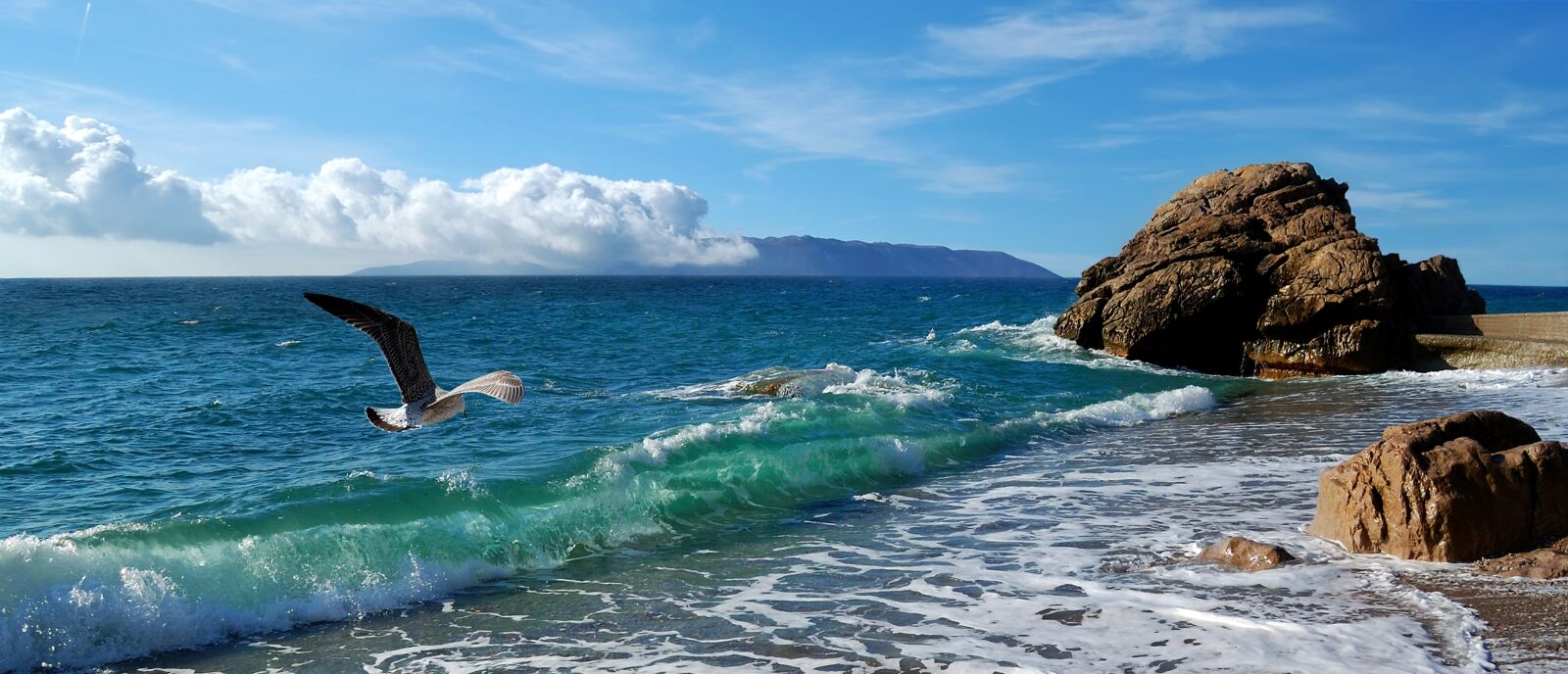 Nikon D40 sample photo. The sea train, the photography