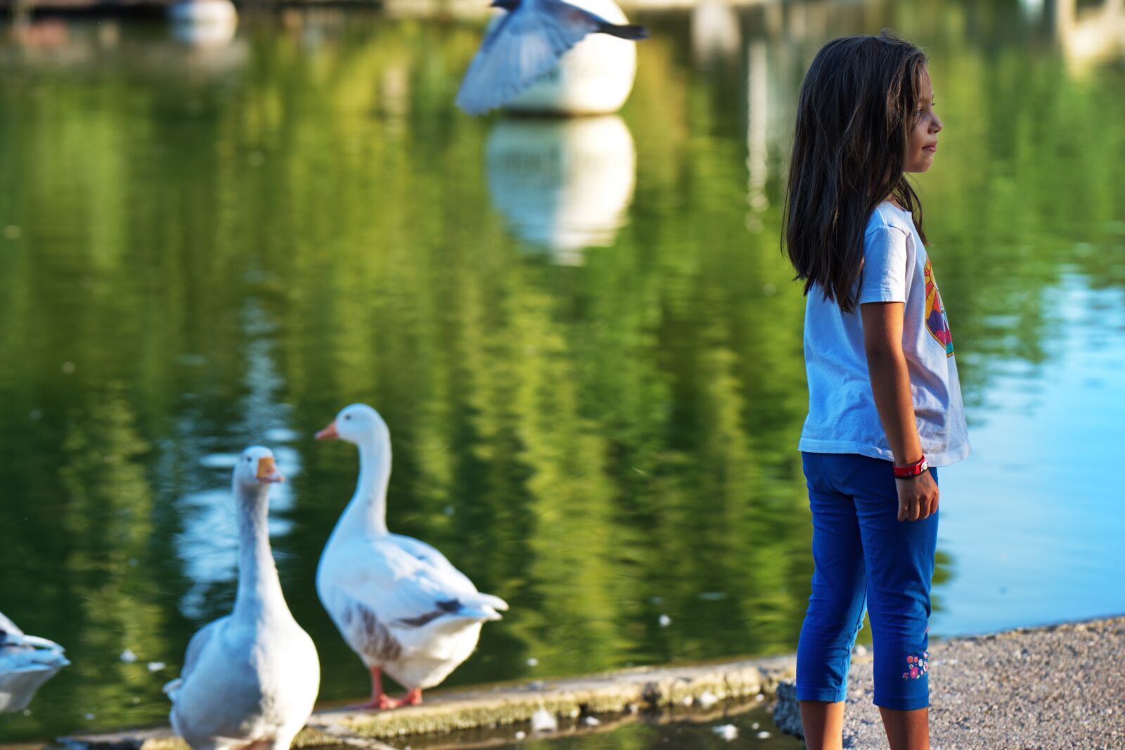 Nikon D5300 sample photo. Child, little girl, the photography