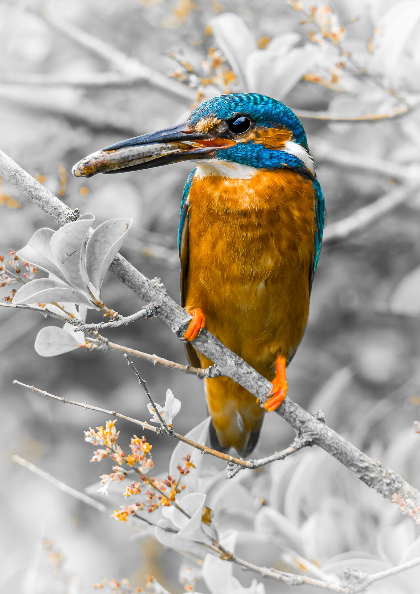 Tamron SP 150-600mm F5-6.3 Di VC USD sample photo. Bird, wildlife, nature photography