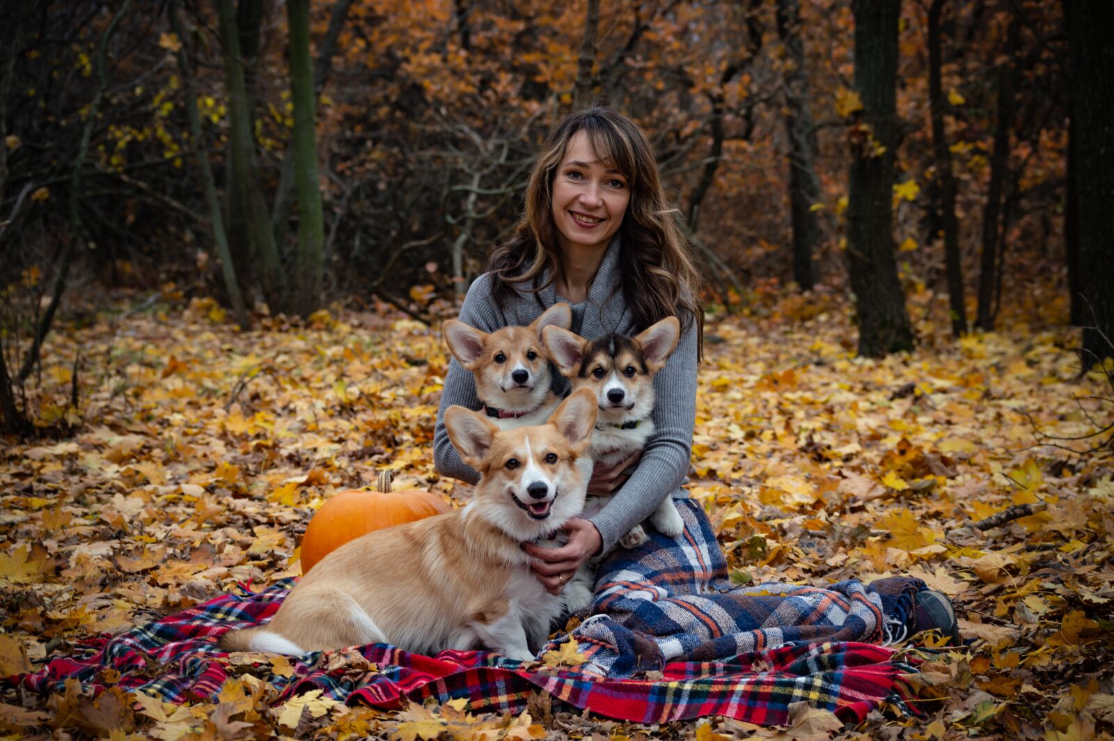 Nikon D3200 sample photo. Welsh corgi pembroke, corgi photography