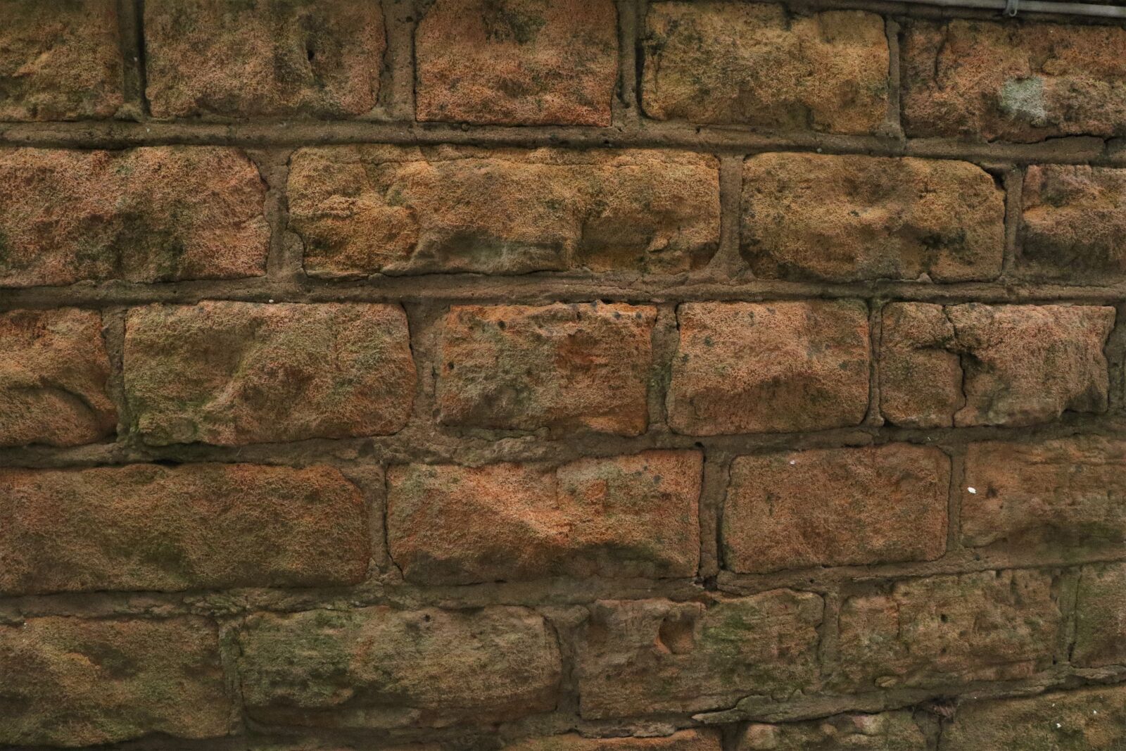 Canon EOS 7D Mark II sample photo. Wall, brick, pattern photography