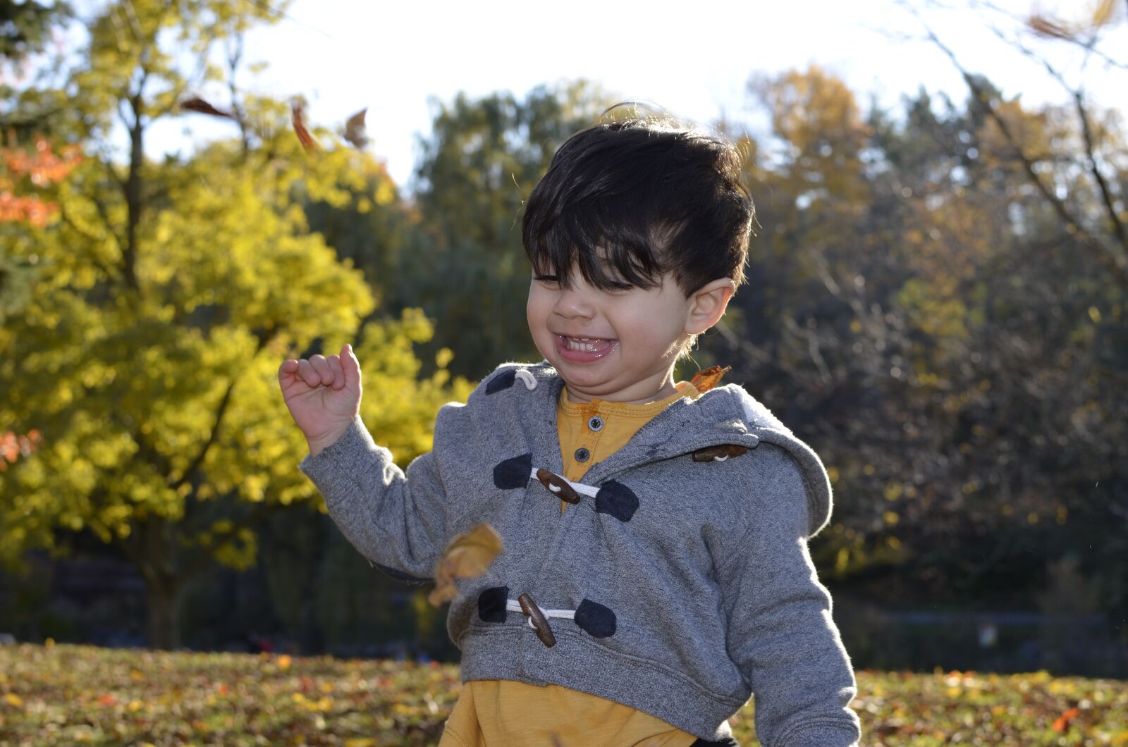Nikon D5100 sample photo. Happy boy, autumn, happy photography