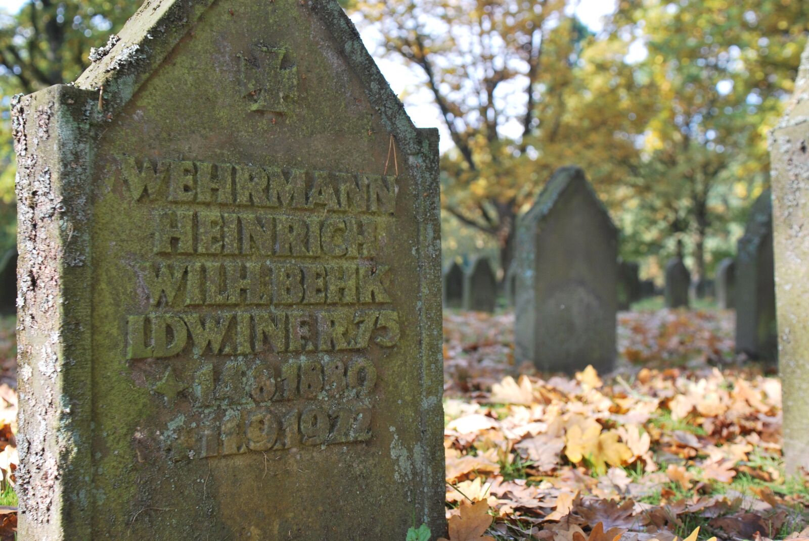 Nikon D60 sample photo. Architecture, cemetery, soldiers graves photography