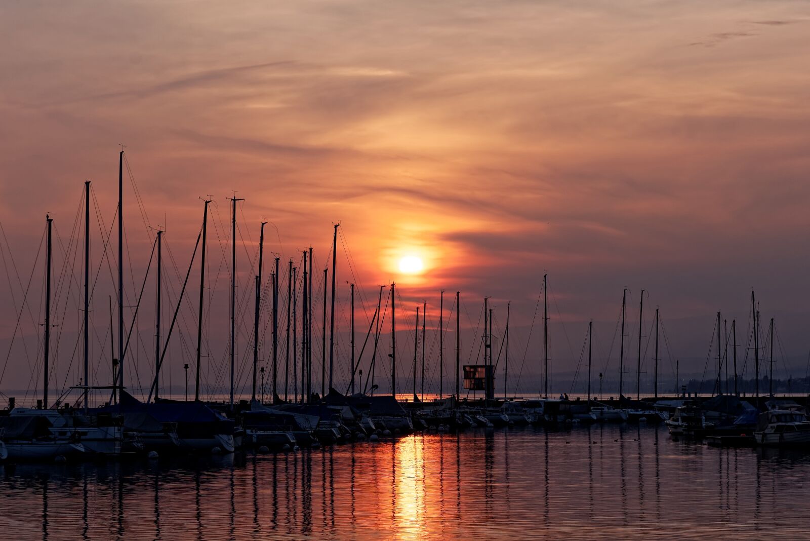 Nikon D50 sample photo. Ouchy, sunset, lausanne photography