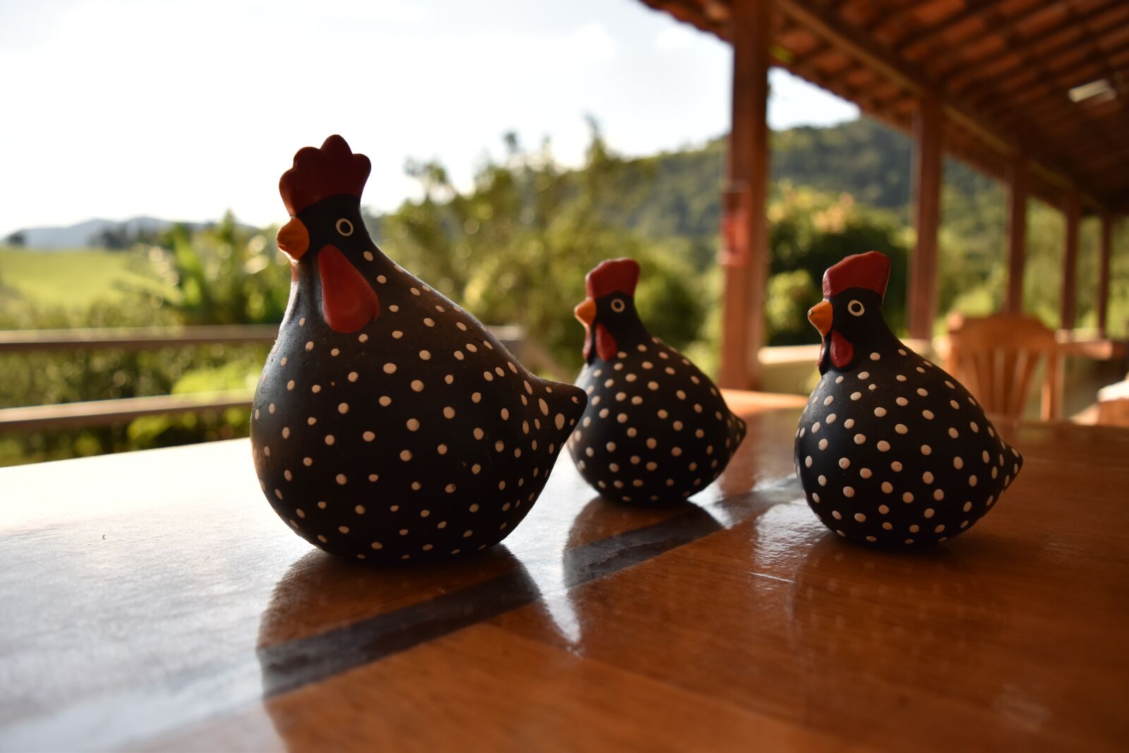 Nikon D5500 sample photo. Chicken, field, green photography