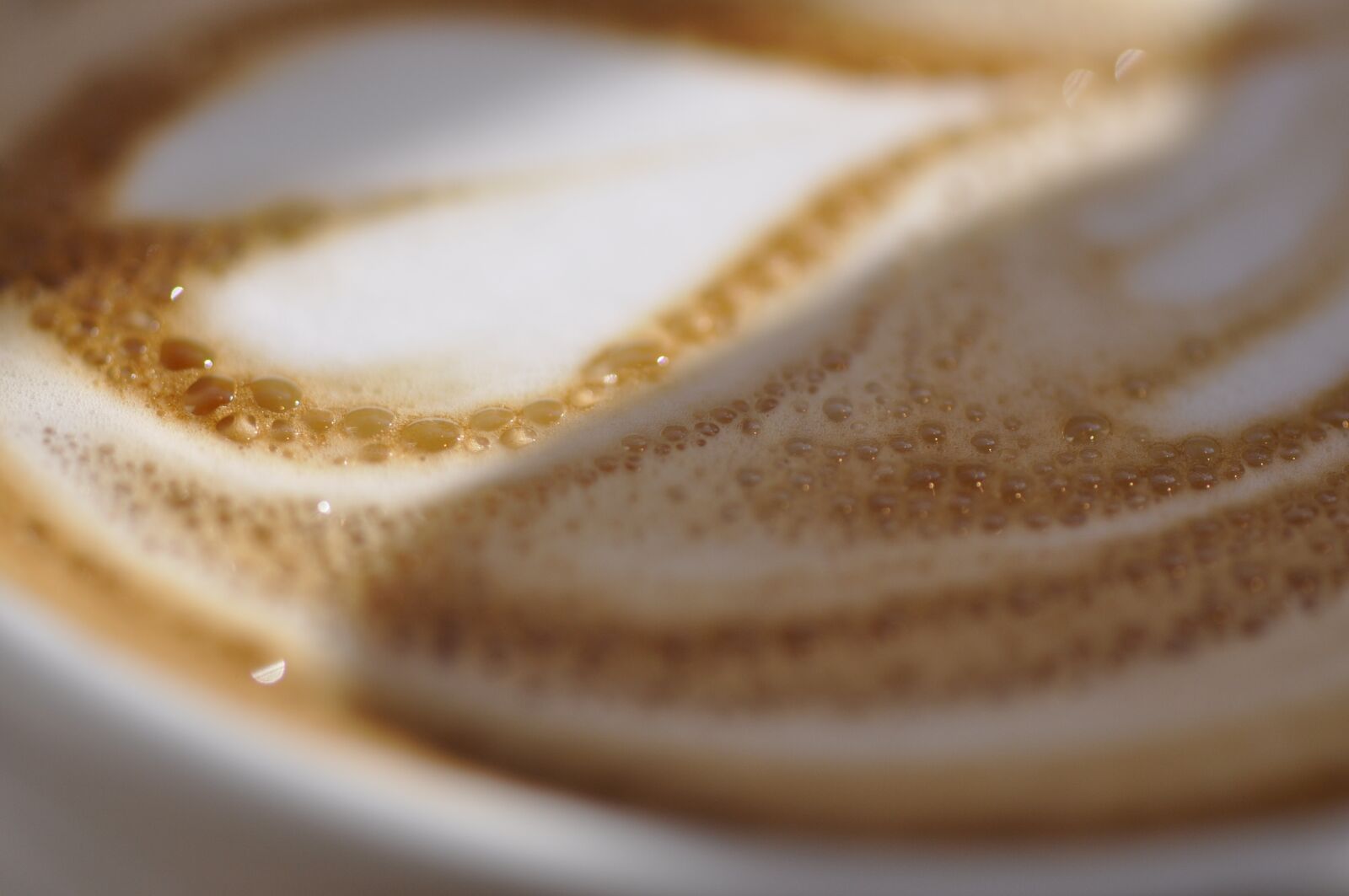 Nikon D90 sample photo. Latte, coffee, froth photography