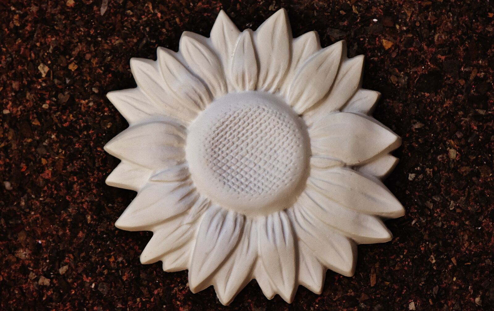 Nikon D7200 sample photo. Sunflower, gypsum, blank photography