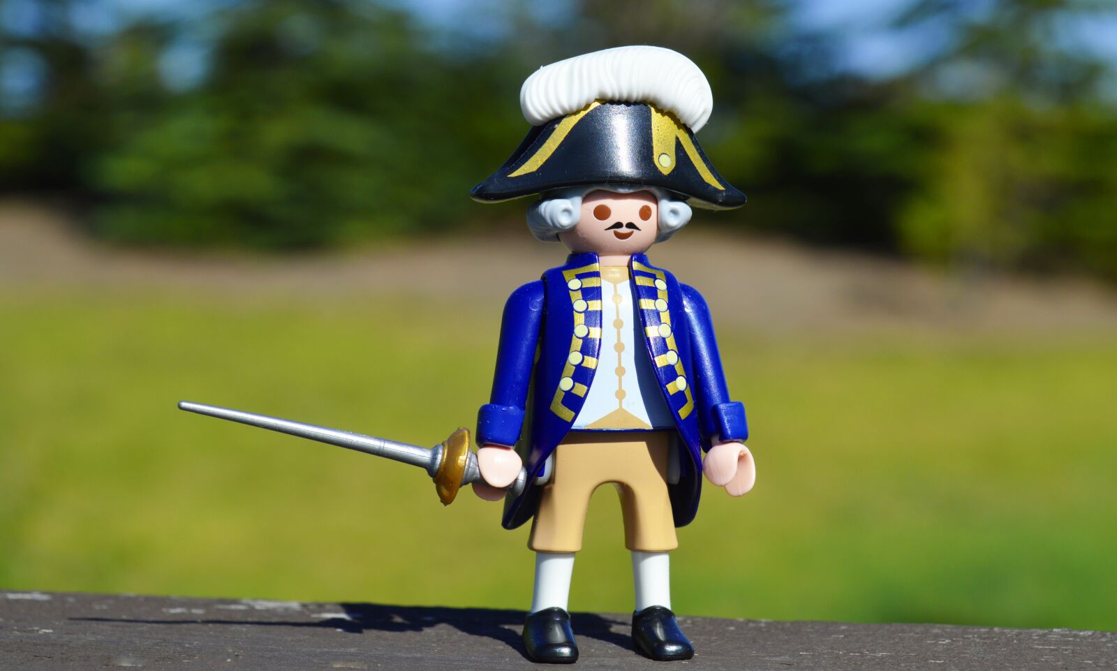 Nikon D3200 sample photo. General, soldier, toy photography