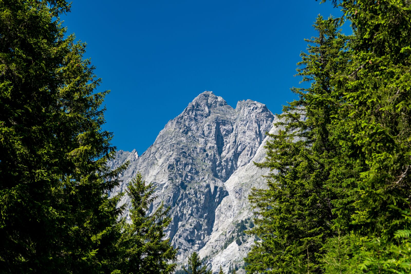 Sony a6300 + Sony E 55-210mm F4.5-6.3 OSS sample photo. Mountain, mountain summit, forest photography