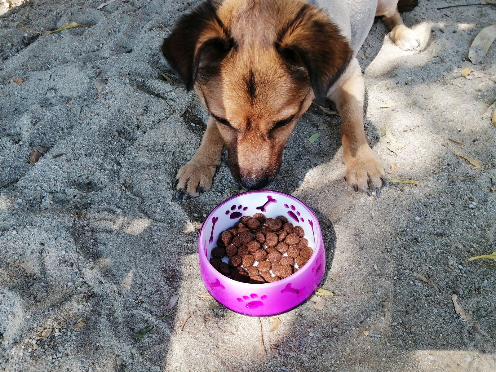 HUAWEI STK-LX1 sample photo