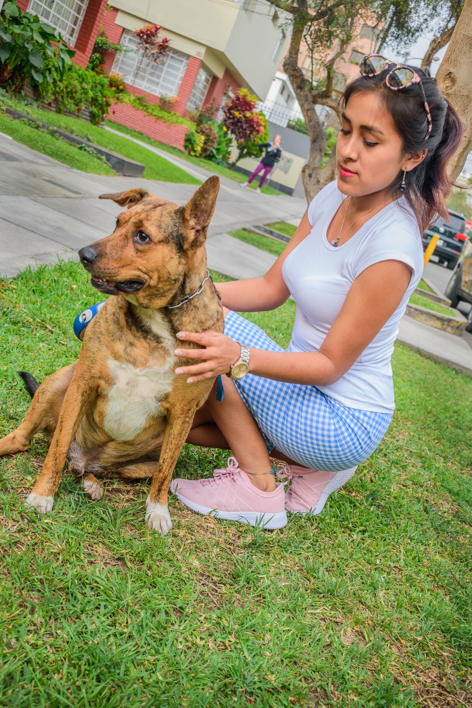 Nikon D5600 sample photo. Moda, mujer, perro photography