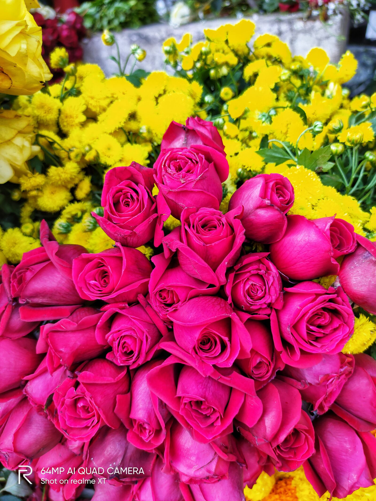 Realme XT sample photo. Rose, mix rose, red photography