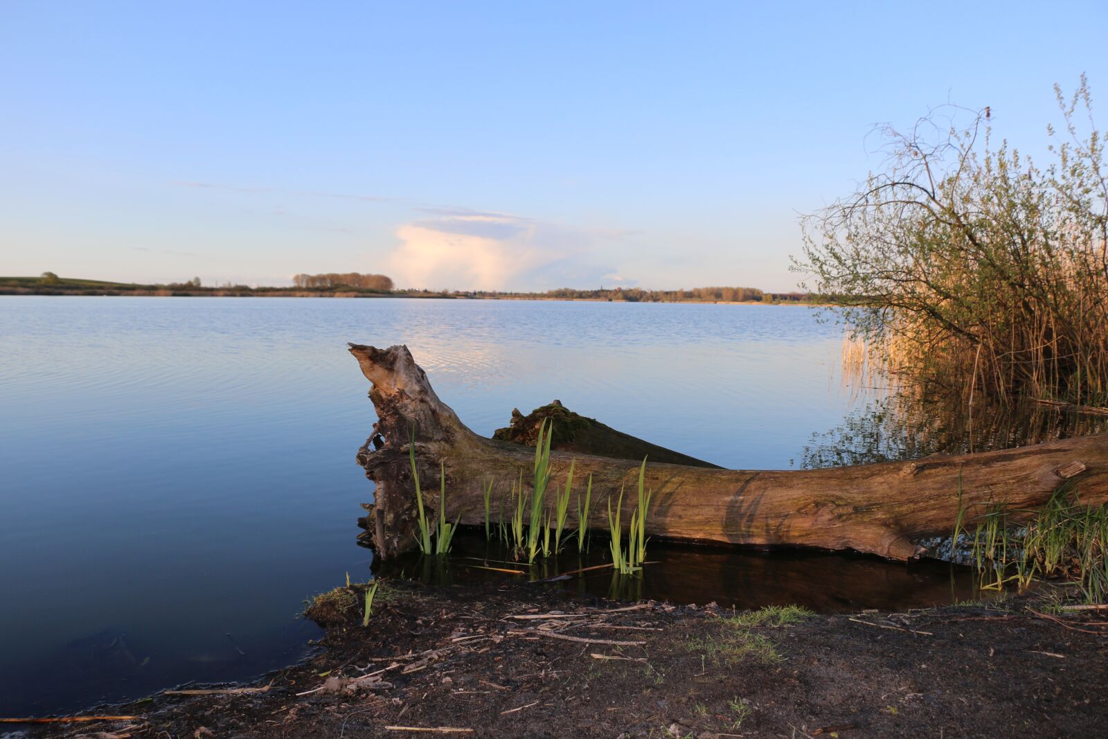 Canon EOS 70D sample photo. Nature, water, lake photography