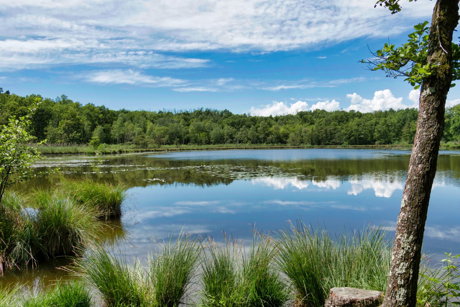 Canon EOS 7D Mark II sample photo. Lake, nature, italy photography