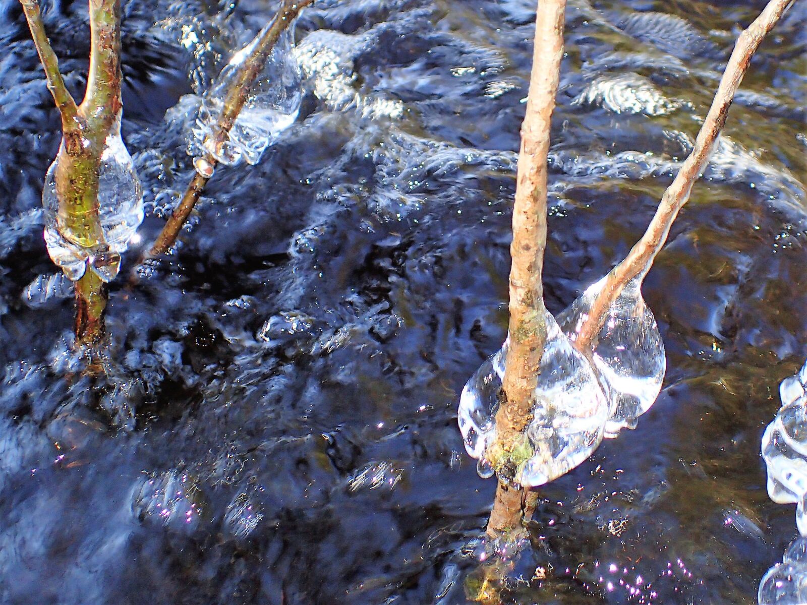 Olympus TG-4 sample photo. Ice, water, nature photography
