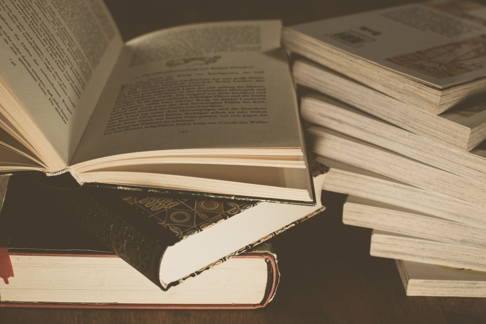 Nikon D3300 sample photo. Literature, book, wisdom photography