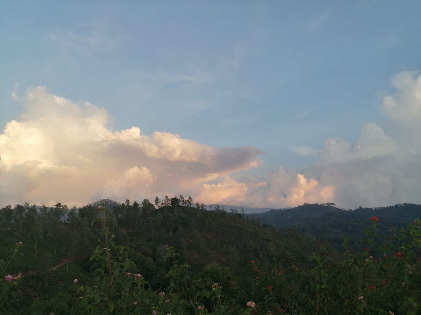 HUAWEI JKM-LX1 sample photo. Landscape, discovery, wild photography