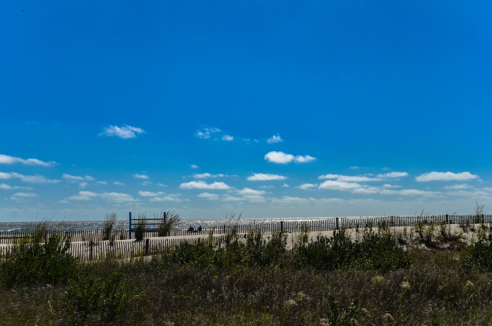 Nikon D5100 sample photo. Beach, sand, sky photography